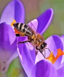 Purple Flower Bee Paint By Numbers