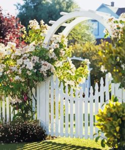 White Garden Gate Flowers Paint By Numbers