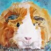 Abstract Guinea Pig Art Paint By Numbers