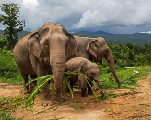 Elephants in Thailand Jungle Paint By Numbers