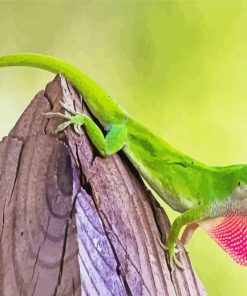 Green Anole Lizard Paint By Numbers