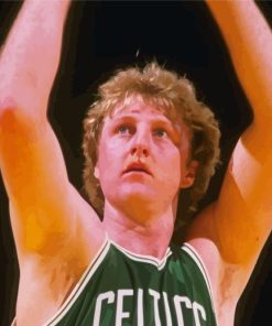 Larry Bird Paint By Numbers