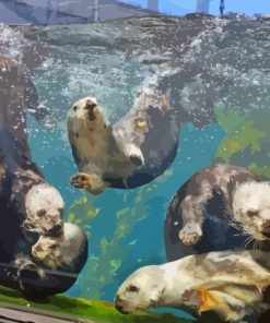 Sea Otter in Monterey Bay Aquarium Paint By Numbers