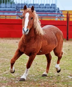 The Brown Percheron Horse Paint By Numbers