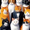 Group Of Cats Paint By Numbers