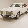 1975 Oldsmobile Cutlass Supreme Paint By Numbers