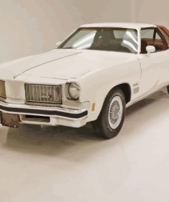 1975 Oldsmobile Cutlass Supreme Paint By Numbers