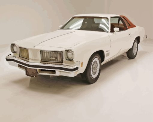 1975 Oldsmobile Cutlass Supreme Paint By Numbers