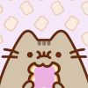 Aesthetic Pusheen Cat Paint By Numbers