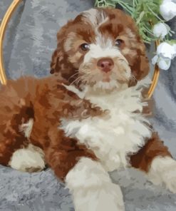 Aussiedoodle Miniature Paint By Numbers