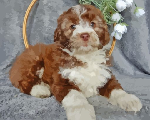 Aussiedoodle Miniature Paint By Numbers