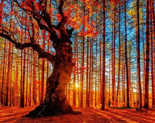 Autumn Sunset Trees Forest Paint By Numbers