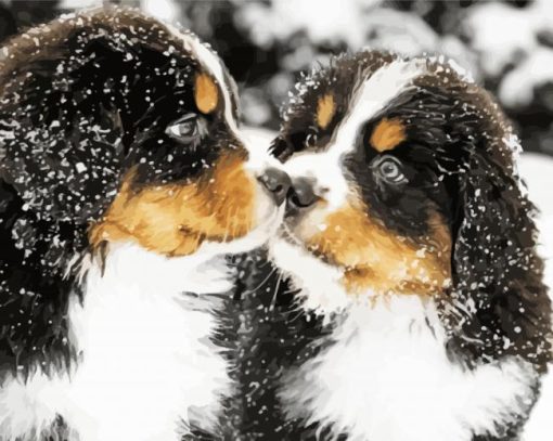 Bernese Mountain Dogs In Snow Paint By Numbers