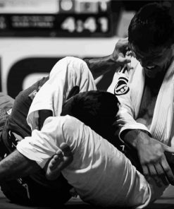 Black and White Brazilian Jiu Jitsu Paint By Numbers