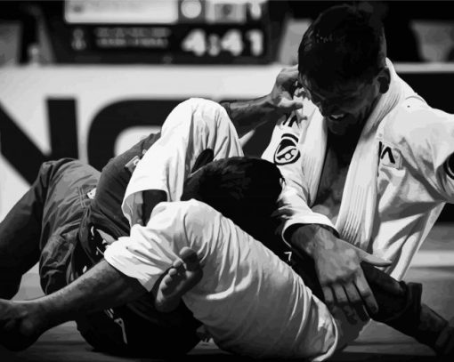 Black and White Brazilian Jiu Jitsu Paint By Numbers