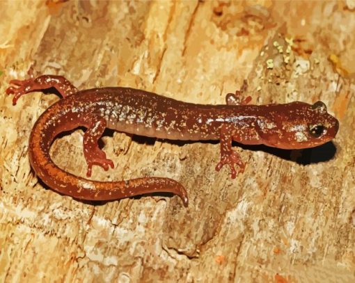 Brown Salamander Reptile Paint By Numbers