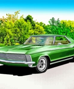 Buick Riviera Green Car Paint By Numbers