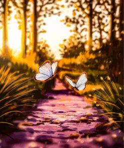 Butterflies And Sun Light Paint By Numbers