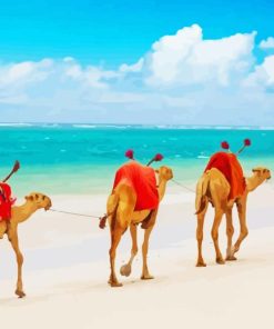 Camels At Mombasa Beach Paint By Numbers