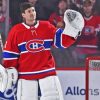 Carey Price Habs Player Paint By Numbers