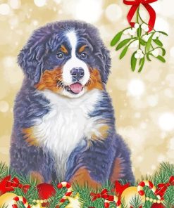 Christmas Bernese Mountain Dog Paint By Numbers