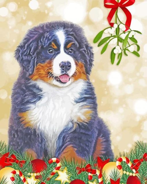 Christmas Bernese Mountain Dog Paint By Numbers