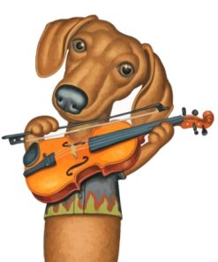 Dog Violin Paint By Numbers