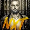 Fergal Devitt Finn Balor Paint By Numbers