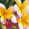 Frangipani Paint By Numbers