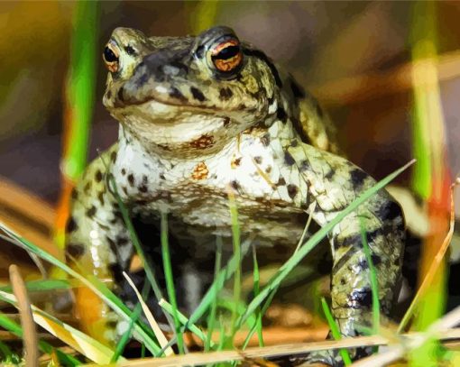 Green Angry Toad Animal Paint By Numbers