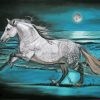 Horse At Moonlight Art Paint By Numbers