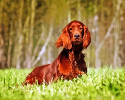 Irish Setter Dog Paint By Numbers