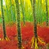 Kelp Forest Paint By Numbers