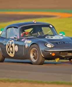 Lotus Elan Race Car Paint By Numbers