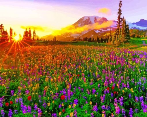 Meadow With Flowers With Sunrise Paint By Numbers