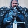 Ned Stark Paint By Numbers