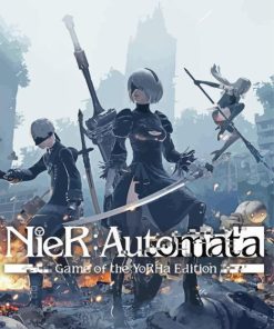 Nier Automata Poster Paint By Numbers