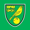 Norwich Logo Paint By Numbers