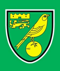 Norwich Logo Paint By Numbers