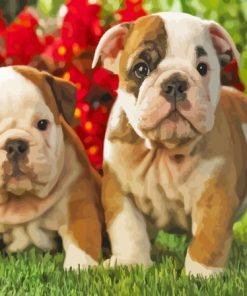 Old English Bulldog Puppies Paint By Numbers