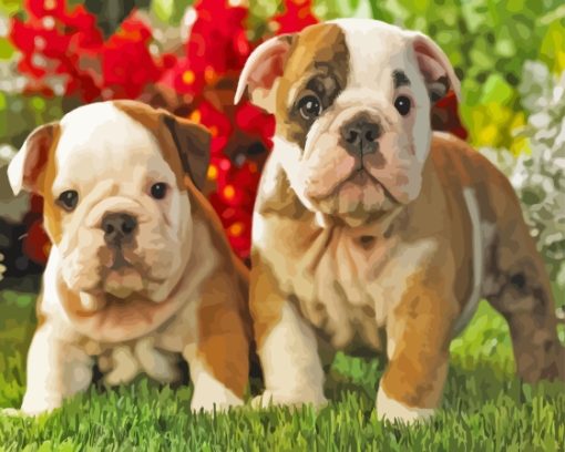 Old English Bulldog Puppies Paint By Numbers