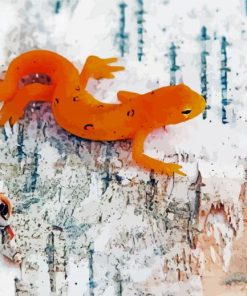 Orange Salamander Reptile Paint By Numbers