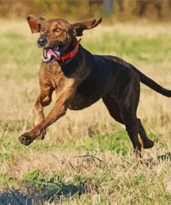 Plott Hound Running Paint By Numbers