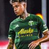 Portland Timbers Paint By Numbers