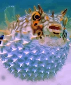 Puffer Fish Paint By Numbers