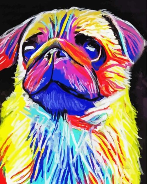 Rainbow Pug Paint By Numbers