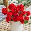 Red Flowers In White Pot Paint By Numbers