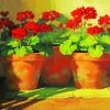 Red Potted Flowers Paint By Numbers