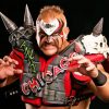 Road Warrior Animal Paint By Numbers