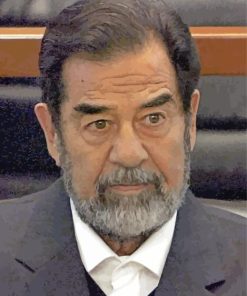 Saddam Hussein Paint By Numbers